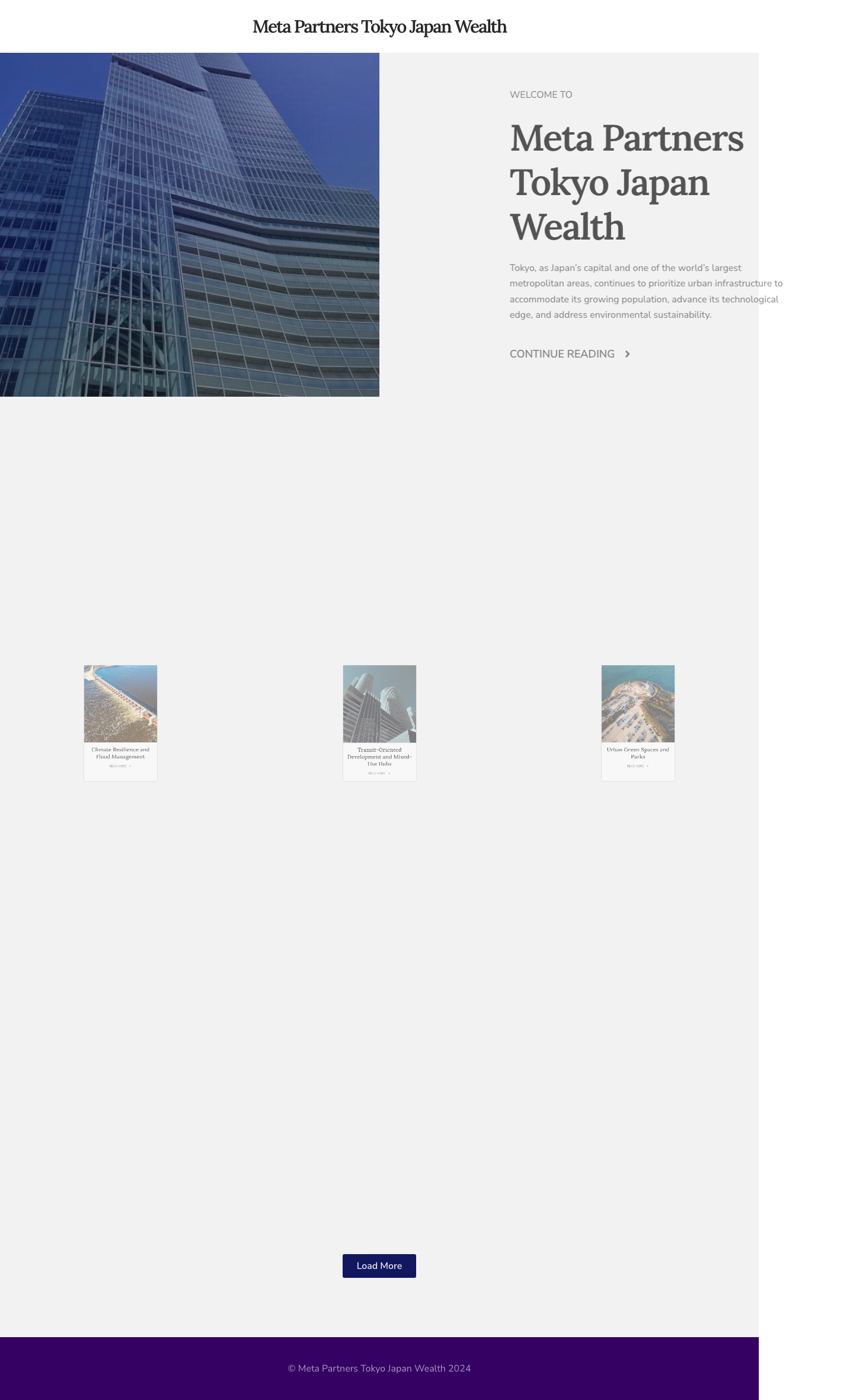 Screenshot of meta-partners-tokyo-japan-wealth.com